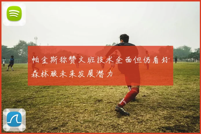 帕金斯称赞文班技术全面但仍看好森林狼未来发展潜力