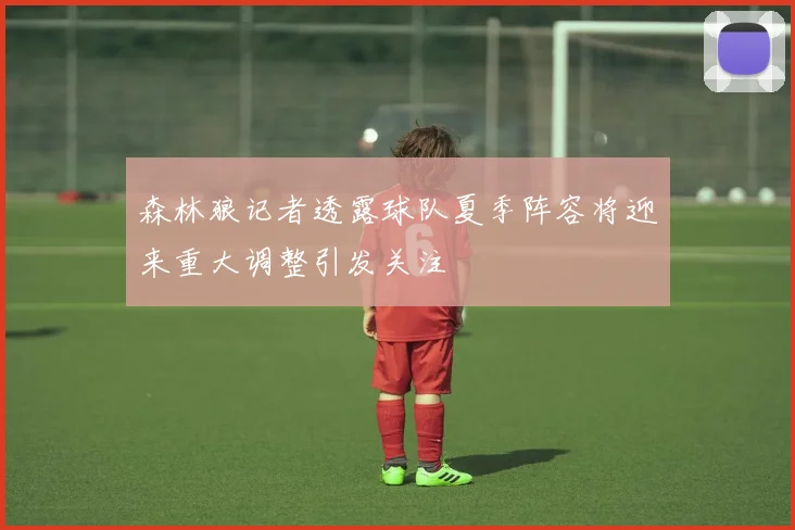 森林狼记者透露球队夏季阵容将迎来重大调整引发关注